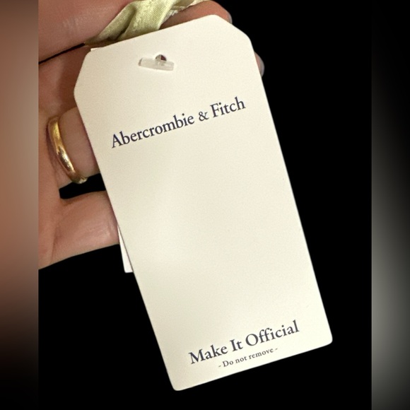 Abercrombie&Fitch Light Green Sleeveless Drape Neck Formal Long Gown size L NWT - Picture 5 of 6